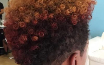 Science Behind Herbs for your Natural Hair Regimen