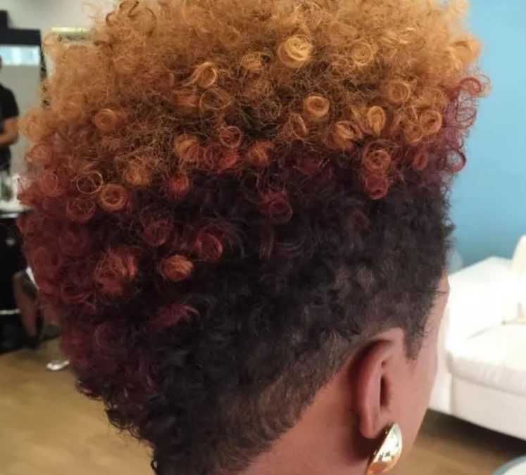 Science Behind Herbs for your Natural Hair Regimen