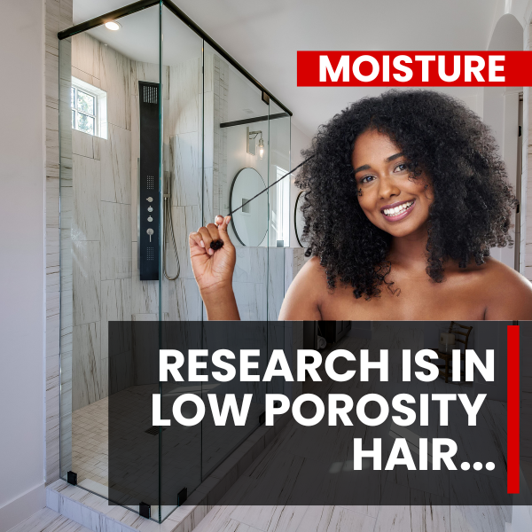 “The Low Porosity Awakening: Revolutionary Insights for Black Hair Excellence”