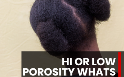 Unraveling the Mystery of Hair Porosity (Low and High): A Deep Dive for type 4c hair